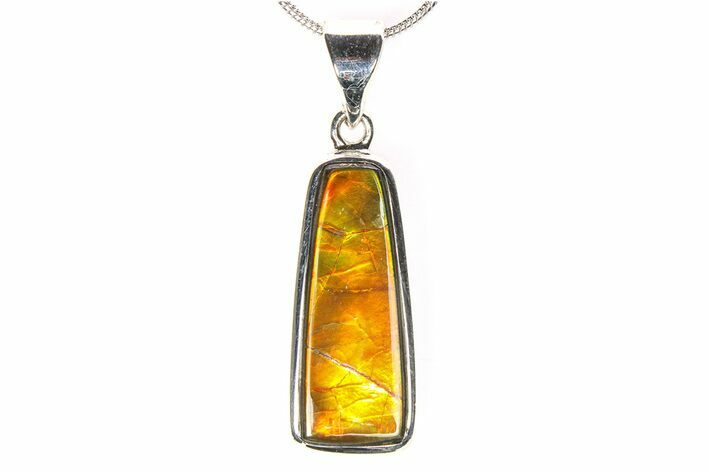 Stunning Ammolite Pendant (Necklace) - Sterling Silver #278409